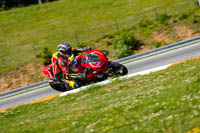 Brno;event-digital-images;motorbikes;no-limits;peter-wileman-photography;trackday;trackday-digital-images